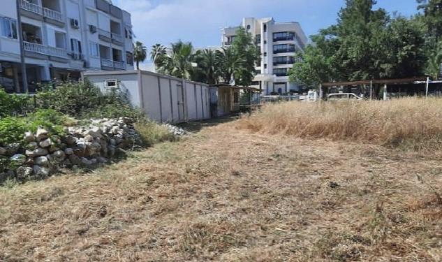 İlçe genelindeki yeşil alanlarda bakım çalışması