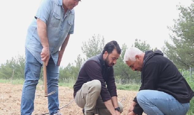 Bornova Kınalı Bamyası’na koruma kalkanı