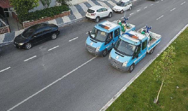 Buca’da sivrisineklere karşı ilaçlama başladı