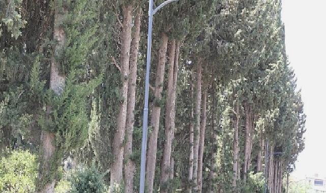 Menderes’e Yeni Aydınlatmalar
