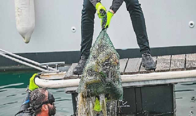 D-Marin tüm marinalarında Çevre Farkındalık Günlerini kutladı