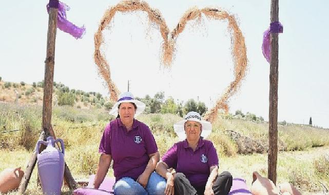 Didim’in Mis Kokulu Lavanta Festivaline sayılı günler kaldı