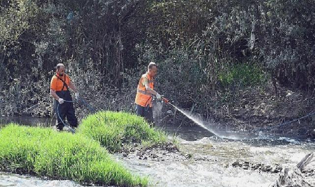 Karabük Belediyesi Sivrisinekle Mücadele Çalışmalarına Devam Ediyor