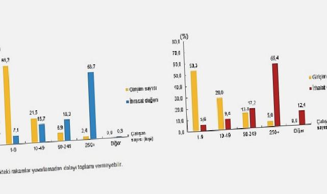 Hizmet ihracatının yüzde 58,7’sini, hizmet ithalatının yüzde 55,4’ünü büyük ölçekli girişimler yaptı