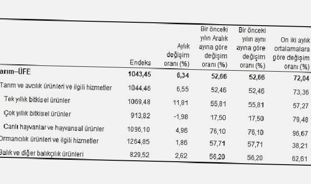 Tarım ürünleri üretici fiyat endeksi (Tarım-ÜFE) yıllık yüzde 52,66, aylık yüzde 6,34 arttı