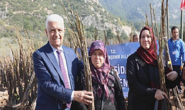 Muğla Büyükşehir Belediyesi 53 Bin Adet Meyve Fidanı Dağıtıyor