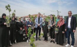 Keçiören Belediyesi tarafından tarımsal üretimi desteklemek için 205 Bin Fide Çiftçilere Dağıtıldı