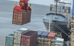 Türkiye’nin sultani çekirdeksiz kuru üzümünün ihraç fiyatı dolar bazında yüzde 29 arttı