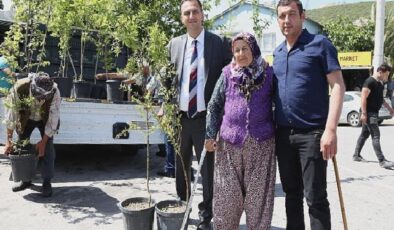 Bir yılda 10 bin meyve fidanı dağıtılacak