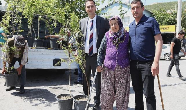 Bir yılda 10 bin meyve fidanı dağıtılacak