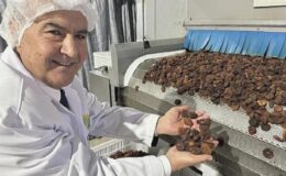 Muhteşem üçlü kuru üzüm, kuru kayısı ve kuru incirin ihracatı 1 milyar doları aştı