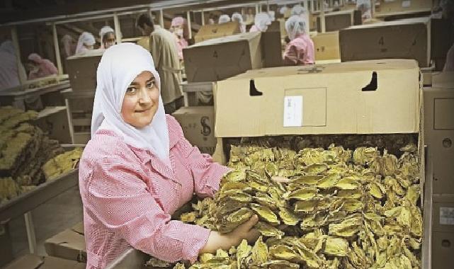 Ege Bölgesi’nin ihracatı 2024 yılının ilk yarısında yüzde 5 azaldı